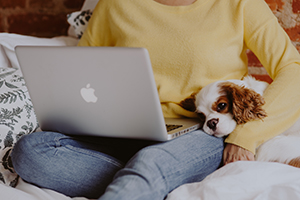 Sänkt moms på digitala publikationer