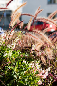 Gåvor från juridiska personer