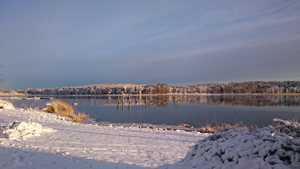 Julgåvor till anställda